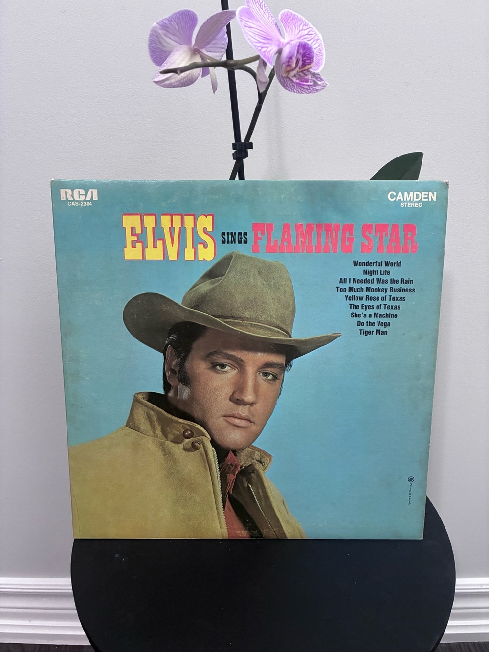 Elvis Sings Flaming Star Vinyl LP - RCA Camden